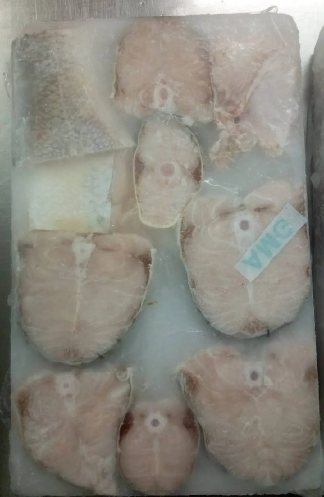 Fish